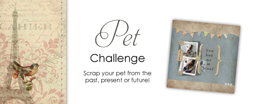 Pet Challenge