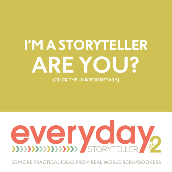 Everyday Storyteller Volume 2