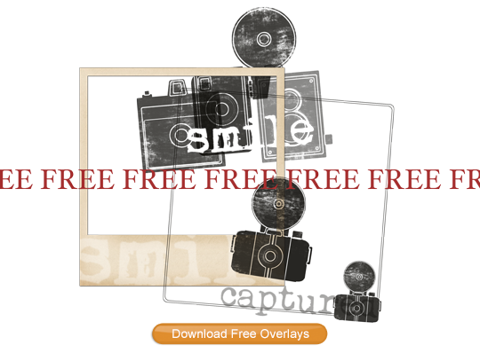 Download the Free Goodie