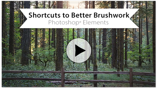 better-brushwork-EL-button