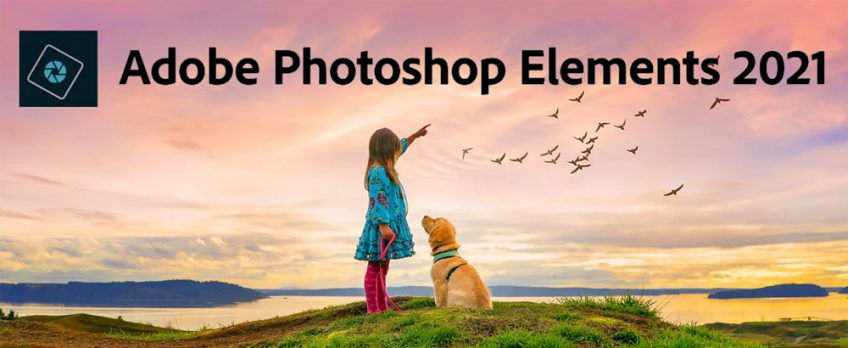 Should You Upgrade to Photoshop Elements 2021?