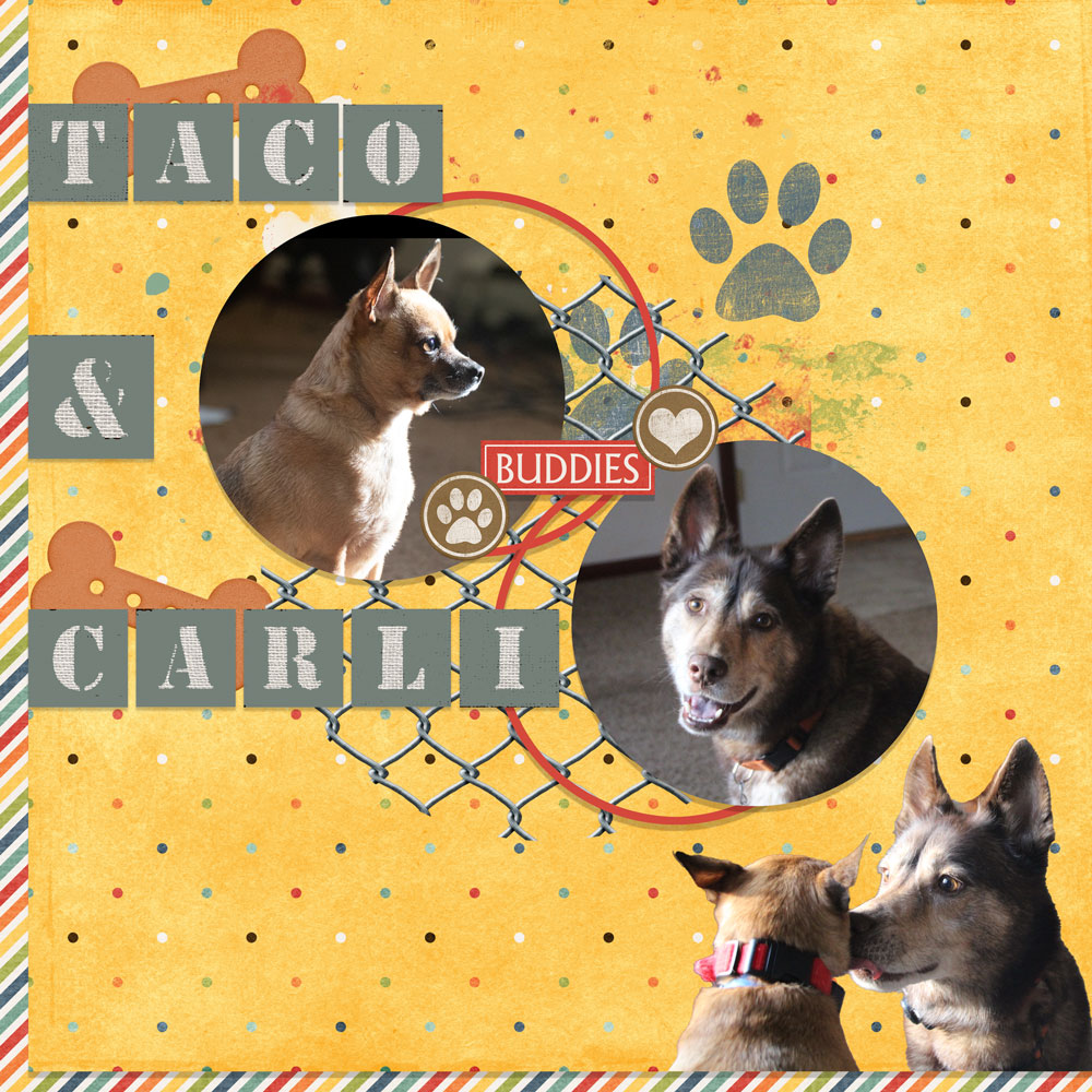 Page & Photos: Ann Bricker Tutorial: Offset Stroke by Carla Shute Kit: Dogs Life by Connie Prince Font - Andre SF 