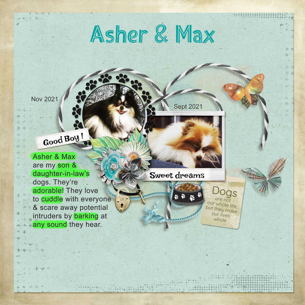 Page: Tawnya TolschPhotos: Brooke Tolsch Tutorial: Highlight Type with the Brush Tool by Carla Shute Kit: Love My Dog by Karen Schulz Font: Hot Dog Regular, Arial Reg 